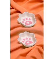 WPAWZ 2'li Seramik Kedi Ve Köpek Mama Ve Su Kabı 300 Ml. Pink