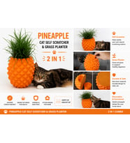 Ananas Tasarımlı Kedi Kaşınma Aparatı ve Kedi Otu Saksısı – 2’si 1 Arada Turuncu