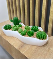 Dekoratif Asimetrik Kasede Kaktüs-Succulent Kokulu Mum