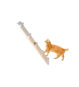 Doğal ahşap portatif - duvara/yere monte edilebilir kedi merdiven yol (60cm)