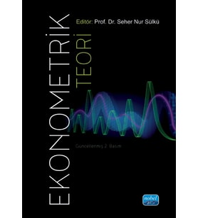 Ekonometrik Teori