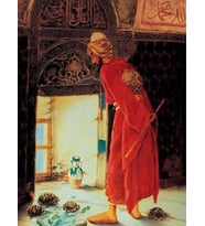 Kaplumbağa Terbiyecisi Sayılarla Boyama Seti 40x50 cm (Tuvale Gerili)