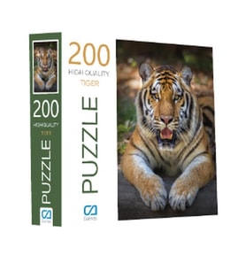 Kaplan Puzzle 200