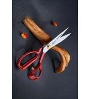 10 No Kırmızı Saplı Çelik Kişiye Özel İsimli Profesyonel Kumaş Kesim Makası Set 25.5cm Set