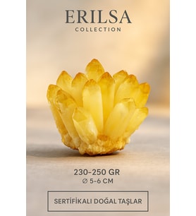 Sertifikalı Sitrin Taşı Dikenli Kristal Küme – Bereket ve Bolluk Getiren Doğal Taş Süs Parçası