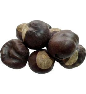 Doğal At Kestanesi Meyvesi Tane Atkestanesi Bitkisi 100GR