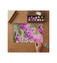 Güzel Hobi Çiçeği Tasarımı 240 parça Ahşap Puzzle Ahşap Kutuda MP03397