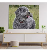 Gri Köpek Dekoratif Kanvas Tablo