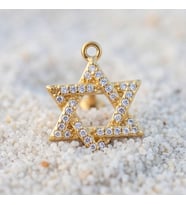 FerizZ Altın Kaplama Zirkon Taşlı Pentagram Piercing PRC-125