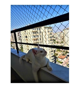 FİLELER26 2 X 3 Metre Kedi Koruma Filesi Balkon Filesi 2 Mm Kedi Güvenlik Filesi Bebek Güvenlk Filesi (Çok Renkli)