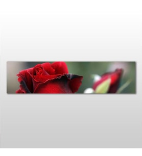 Kırmızı Gül Kanvas Tablo 300x100cm (Karışık)