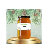 Çam Balı Muğla Bölgesi 850 gr