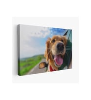 Köpek Dekoratif Kanvas Tablo 1130
