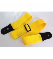 PLANETWAVES PWS110