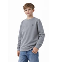 Erkek Çocuk Sweatshirt BGL-ST05228