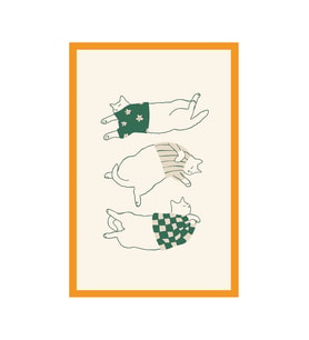 Sevimli Kedi Çizimli Kartpostallar ve Hediye Not Kartları  10 x 15 cm (Sarı-Yeşil-Kahverengi-Beyaz)