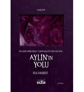 AYLİN’İN YOLU - Bir Kadının Yeniden Doğuşu (Roman)