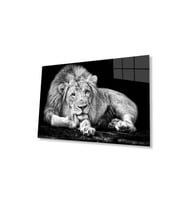 Aslan Cam Tablo 4mm Dayanıklı Temperli Cam (Çok Renkli)