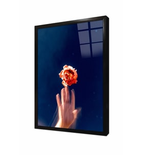 Tablosan Modern Çiçek İlüstrasyon Çerçeveli Cam Tablo