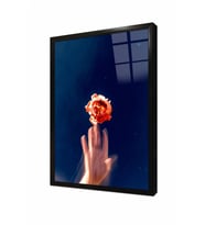 Tablosan Modern Çiçek İlüstrasyon Çerçeveli Cam Tablo