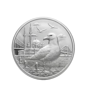 AgaKulche İstanbul Martısı Gümüş Sikke Coin
