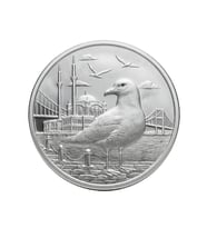 AgaKulche İstanbul Martısı Gümüş Sikke Coin
