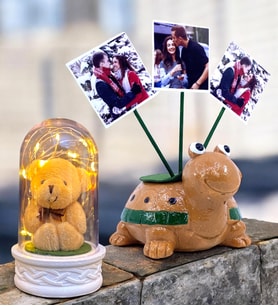 Kişiye Özel Hediye Seti 3 Fotoğraflı Sevimli Kaplumbağa ve Led Işıklı Fanus (Model 6)