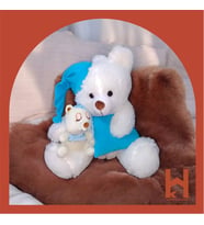 65 CM PELUŞ AYICIK VE YAVRUSU (Açık Mavi)