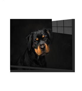 Köpek 6 Cam Tablo