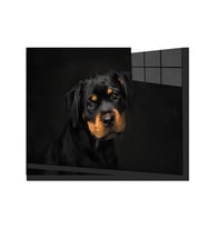 Köpek 6 Cam Tablo