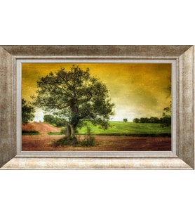 GÜMÜŞ ÇERÇEVELİ TABLO N1138