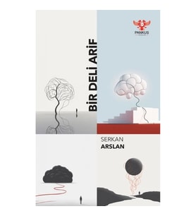 Bir Deli Arif