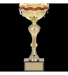 ODAK KUPA - X Large Kupalar - XL-008 C - 31 cm