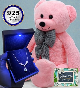 Işıklı Kutusunda 925 Ayar Gümüş Kolye ve 80cm Pembe Peluş Ayıcık (Model 7)