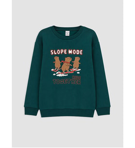 LCW Kids Yeşil Erkek Çocuk Kalın Sweatshirt