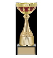 ODAK KUPA - Medium Kupalar - M-031 A - 30 cm