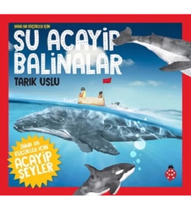 Şu Acayip Balinalar