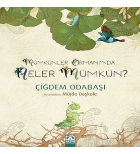 Müünler Ormanı'Nda Neler Müün