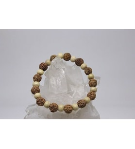Rudraksha Tohum Bileklik 8mm