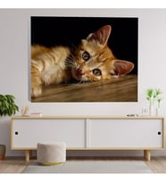 Sevimli Sarı Kedi Dekoratif Kanvas Tablo