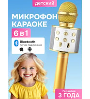 Kablosuz Karaoke Çocuk Mikrofonu