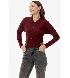 Parça Detaylı Polo Yaka Düğmeli Triko Crop - Bordo