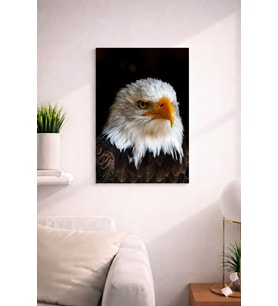 EAGLE13 TASARIM MDF TABLO (27X18)