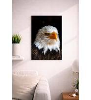 EAGLE13 TASARIM MDF TABLO (27X18)