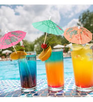 VIP 12 PCS COCKTAIL UMBRELLA 12 ADET KOKTEYL ŞEMSİYESİ RENKLİ KOKTEYL ŞEMSİYESİ KOKTEYL AKSESUARLARI