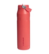 Stanley The IceFlow Bottle Flip Straw 2.0 0.7 L - (24 OZ) Hot Coral (Mercan)
