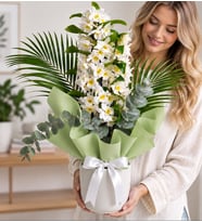 Beyaz Saksıda Buket Kağıtlı Dendrobium