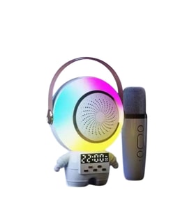 XM-X66 KARAOKE MİKROFON