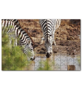 Cakapuzzle Savanada Su İçen Zebralar Puzzle Yapboz MDF (Ahşap) (120 Parça)