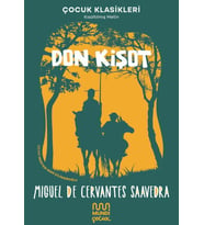 Don Kişot